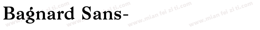 Bagnard Sans字体转换